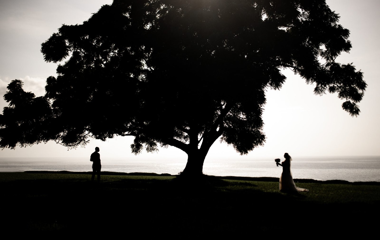 Silhouetted couple during a destination wedding at Sea Cliff Resort and Spa Zanzibar standing beneath a large tree overlooking the ocean at sunset.